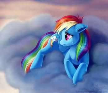 rainbow dash memebership