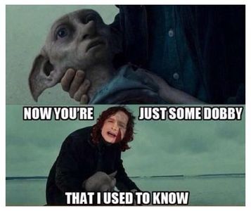 Harry Potter Memes (1)'s Photo