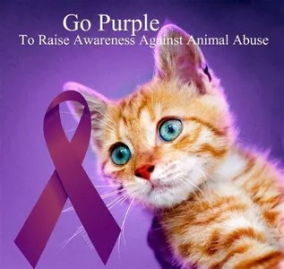 Animal Abuse Needs To STOP!!'s Photo Animal Abuse Needs To STOP!!'s Photo