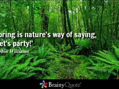 Beautiful Quotes everywhere's Photo Beautiful Quotes everywhere's Photo