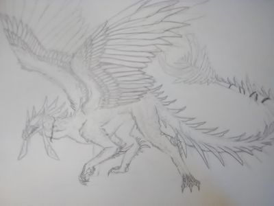 My dragon art page?'s Photo