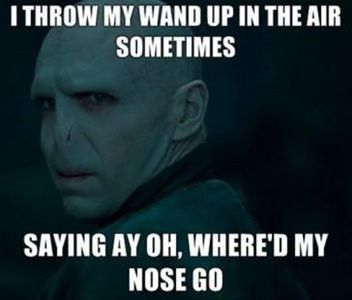 Harry Potter Memes (1)'s Photo