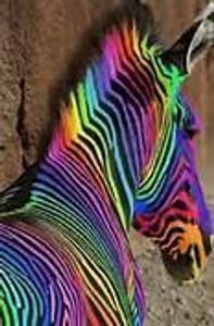 Neon zebras (2)