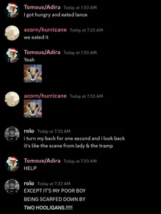 Silly Discord Screenshots's Photo Silly Discord Screenshots's Photo