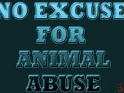 Animal Abuse Needs To STOP!!'s Photo