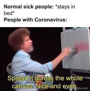 coronavirus memes's Photo