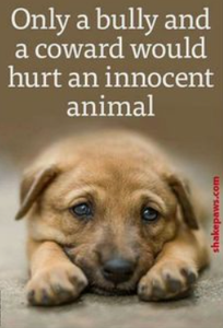 Animal Abuse Needs To STOP!!'s Photo