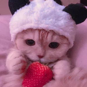 My Aesthetics's Photo My Aesthetics's Photo