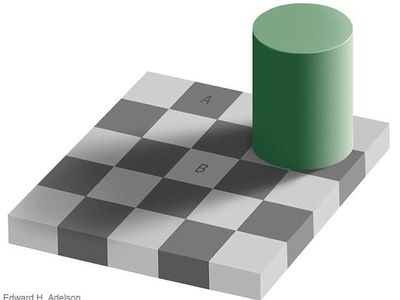 Unbelievable Illusions That Will Blow Your Mind's Photo