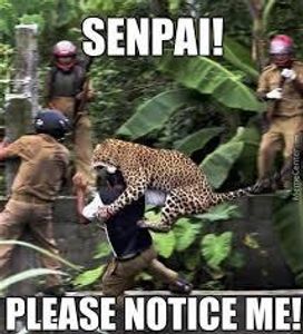 Notice Me Senpai's Photo