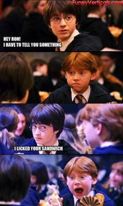 Funny Harry Potter Pictures!'s Photo