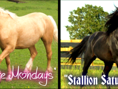 LIVE CLASSES! Topic:Horses