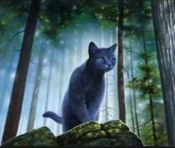 Warrior cats RP! Warrior cats RP!