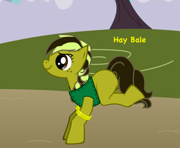 MLP Adoptables (1)'s Photo