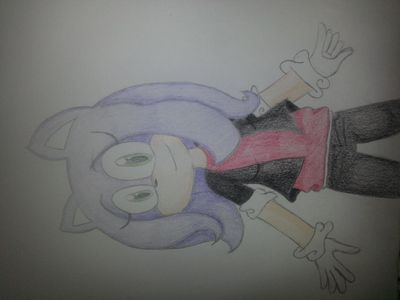 Sonic OC drawings (Taking Requests)'s Photo