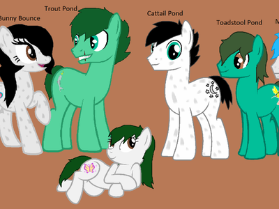 MLP roleplay's Photo