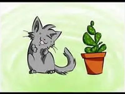 All about warrior cats All about warrior cats