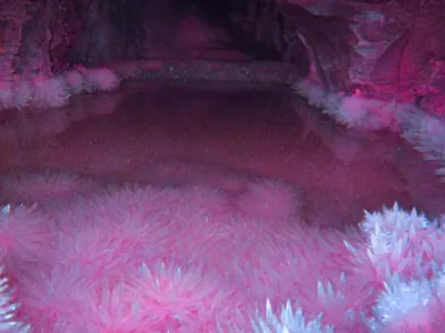 My Aesthetics's Photo My Aesthetics's Photo