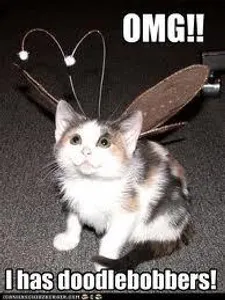 THE LOL PAGE :D's Photo THE LOL PAGE :D's Photo