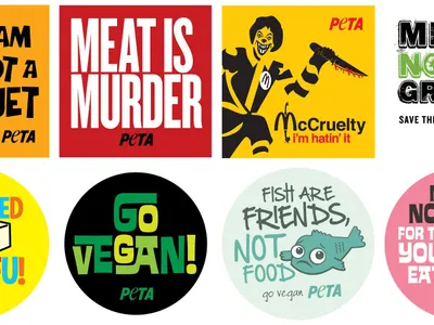 Vegetarian and Vegan page's Photo Vegetarian and Vegan page's Photo
