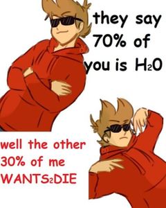 Eddsworld memes's Photo