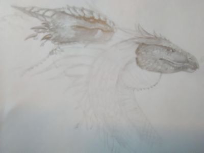 My dragon art page?'s Photo