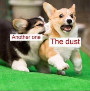 Come here to post dog memes's Photo