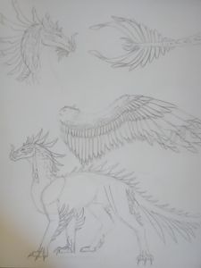 My dragon art page?'s Photo