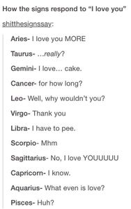 Zodiac signs's Photo