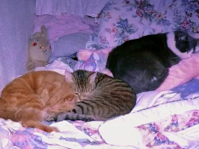 My Aesthetics's Photo My Aesthetics's Photo