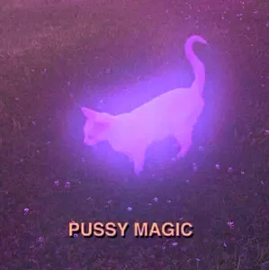 My Aesthetics's Photo My Aesthetics's Photo