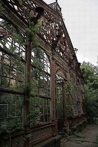 abandoned greenhouses because aesthetic's Photo