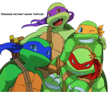 Ask the Ninja Turtles