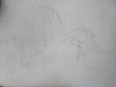 My dragon art page?'s Photo