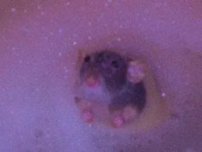 My Aesthetics's Photo My Aesthetics's Photo