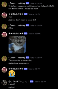 Silly Discord Screenshots's Photo