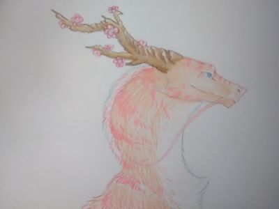 My dragon art page?'s Photo