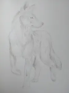 My dragon art page?'s Photo My dragon art page?'s Photo