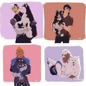 everything voltron!'s Photo