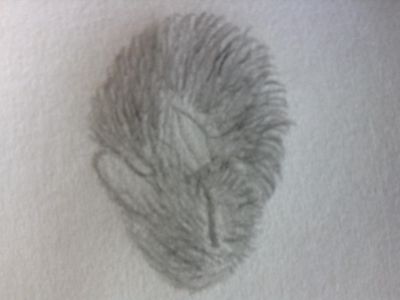 Drawing Contest! (4)'s Photo