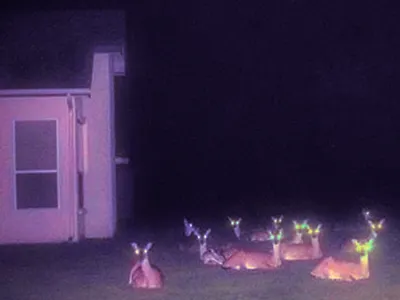 My Aesthetics's Photo My Aesthetics's Photo