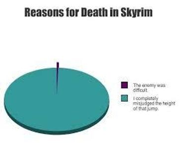 Skyrim Memes's Photo