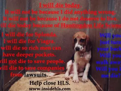 Animal Abuse Needs To STOP!!'s Photo Animal Abuse Needs To STOP!!'s Photo