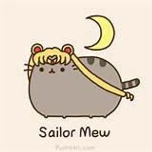 Pusheen the Cat's Photo