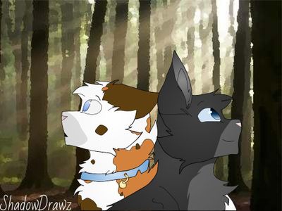 Warrior Cats Fandom (Edits)'s Photo