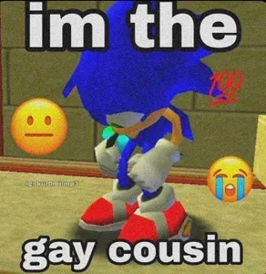 Sonic the Hedgehog's Photo Sonic the Hedgehog's Photo