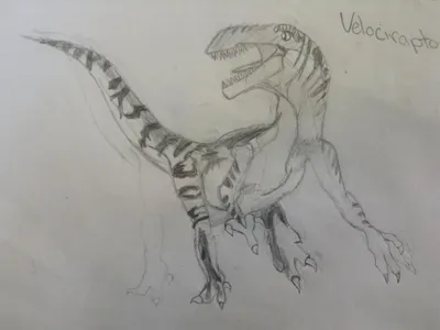 Drawing Contest! (4)'s Photo Drawing Contest! (4)'s Photo