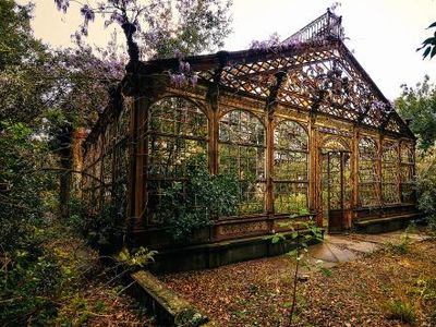 abandoned greenhouses because aesthetic's Photo