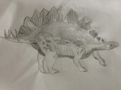 Drawing Contest! (4)'s Photo Drawing Contest! (4)'s Photo