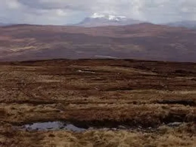 Survival RP Survival RP